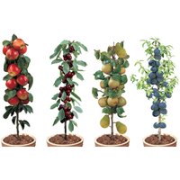 Perfect Plant | Mischung aus 4-Säulen-Obstbäumen von Perfect Plant