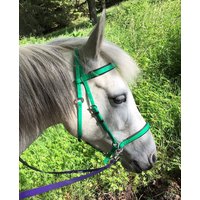 Perfeq Biothane Side Pull Gebissloser Zaum in Neon Lime von Perfeq