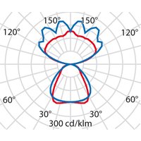 Performance in Light LED-Pendelleuchte 4000K DALI 8629461786430 - 8629460000000 von Performance in Lighting
