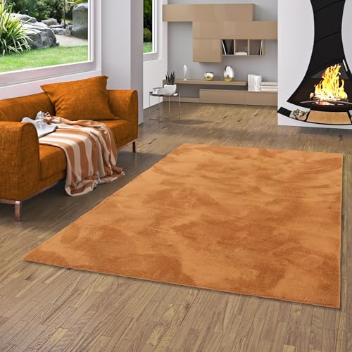 Kunstfaser Teppich Wohnzimmer Luxus Super Soft Fellteppich Pearl Terrakotta in 5 Größen von Pergamon