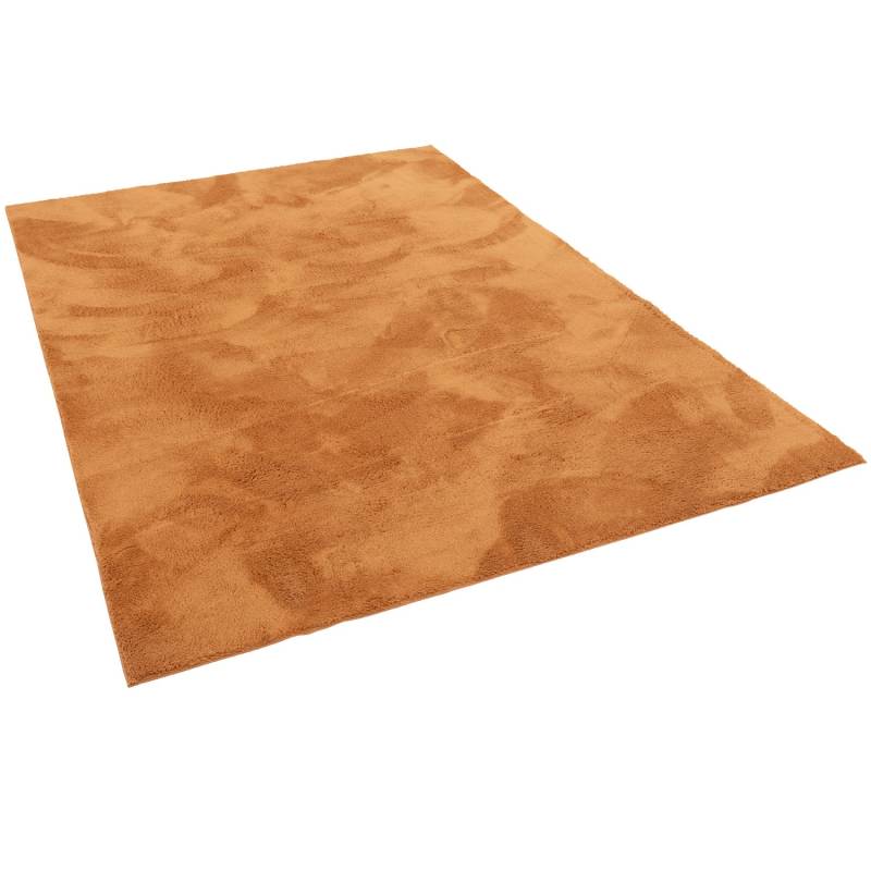 Pergamon Luxus Super Soft Fellteppich Pearl Terrakotta 200x290cm Pergamon Luxus Super Soft Fellteppich Pearl Terrakotta 200x290cm von Pergamon