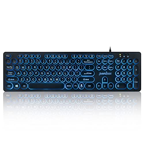 Perixx PERIBOARD-317R USB-Tastatur mit Kabel, Hintergrundbeleuchtung, großer Druckbuchstaben, weiße beleuchtete LED, stilvolle runde Tastenkappen – US-Englisch, 12010 von Perixx