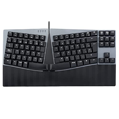 Perixx PERIBOARD-335BL Ergonomische mechanische Tastatur mit Kabel - Tenkeyless - Blaue Clicky-Tasten mit niedrigem Profil, programmierbares Makro - Windows und Mac OS X - Layout QWERTY Spanisch von Perixx