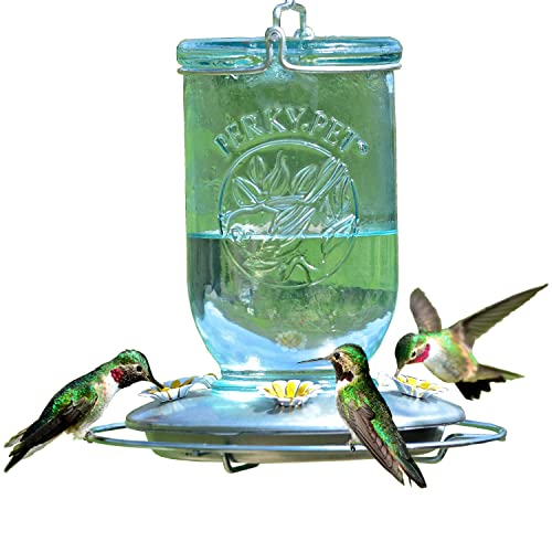 Perky-Pet 785-1SR Mason Jar Vintage Glas Kolibri-Futterstation – Outdoor Garden Decor – 907 ml Nektar Fassungsvermögen von Perky-Pet