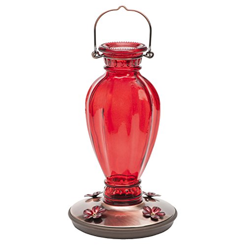 Perky Pet 8133-2 Daisy Vase Vintage Glas Kolibri-Futterspender Perky Pet 8133-2 Daisy Vase Vintage Glas Kolibri-Futterspender von Perky-Pet