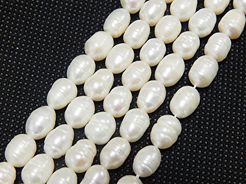 Perlin Natürliche Süßwasserperlen Zuchtperlen Weiss Oval Barock Edelstein Perlen Abstandsperlen Schmuckperlen lose Muschelperlen Muschelfarbe 8-6 mm Perlin Natürliche Süßwasserperlen Zuchtperlen Weiss Oval Barock Edelstein Perlen Abstandsperlen Schmuckperlen lose Muschelperlen Muschelfarbe 8-6 mm von Perlin