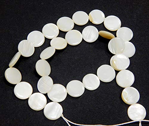 Perlin - Perlmutt Muscheln Perlen Weiß 12mm 1 strang Münze Scheibeform Natur Pearl Beads Perle zum fädeln muschelkernperlen U82 Perlin - Perlmutt Muscheln Perlen Weiß 12mm 1 strang Münze Scheibeform Natur Pearl Beads Perle zum fädeln muschelkernperlen U82 von Perlin