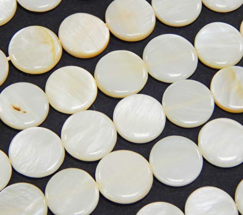Perlin - Perlmutt Muscheln Perlen Weiß 12mm 1 strang Münze Scheibeform Natur Pearl Beads Perle zum fädeln muschelkernperlen U89 Perlin - Perlmutt Muscheln Perlen Weiß 12mm 1 strang Münze Scheibeform Natur Pearl Beads Perle zum fädeln muschelkernperlen U89 von Perlin