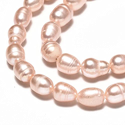 Süßwasserperlen, Zuchtperlen 8mm Krem Apricot, Reiskorn Natur Oval Barock Edelstein Perlen, Muschelperlen Schmuckstein Perle Zum Fädeln, Freshwater Pearl Beads von Perlin