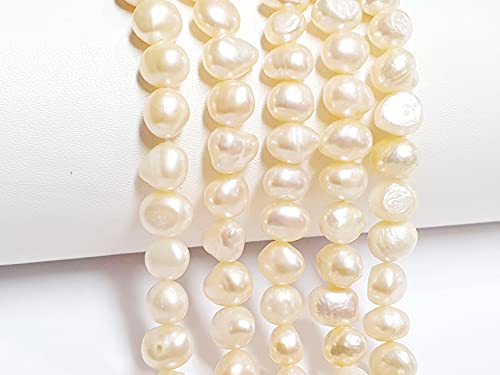 Süßwasserperlen, Zuchtperlen 8mm Krem Apricot, Reiskorn Natur Oval Barock Edelstein Perlen, Muschelperlen Schmuckstein Perle Zum Fädeln, Freshwater Pearl Beads von Perlin