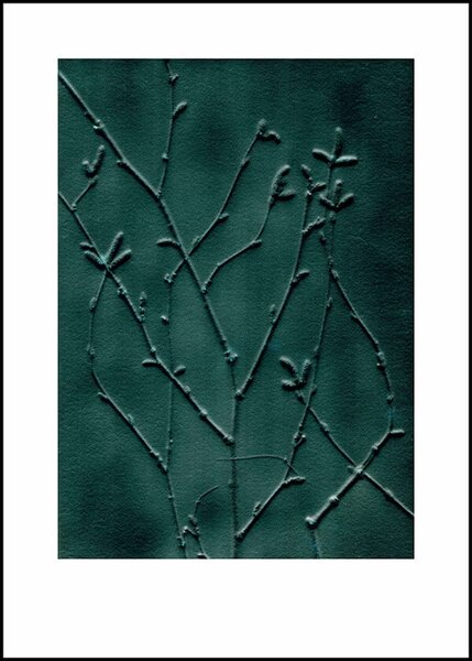 Pernille Folcarelli - limitierte Kunstdrucke - 40x30cm - Abdrücke echter Pflanzen von Pernille Folcarelli