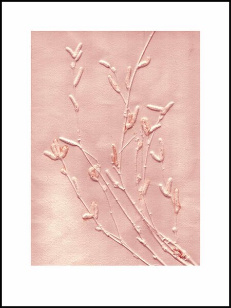 Pernille Folcarelli - limitierte Kunstdrucke - 40x30cm - Abdrücke echter Pflanzen von Pernille Folcarelli