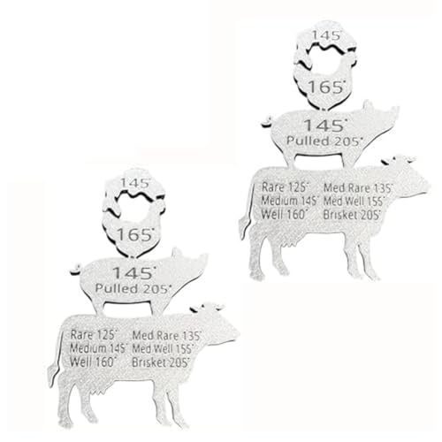 Persistence 2 Stück BBQ Geschenk Männer Grillen für Ehemann, Metall Fleisch Temperatur Magnet, Fleisch interne Kochtemperatur Leitfaden von Persistence