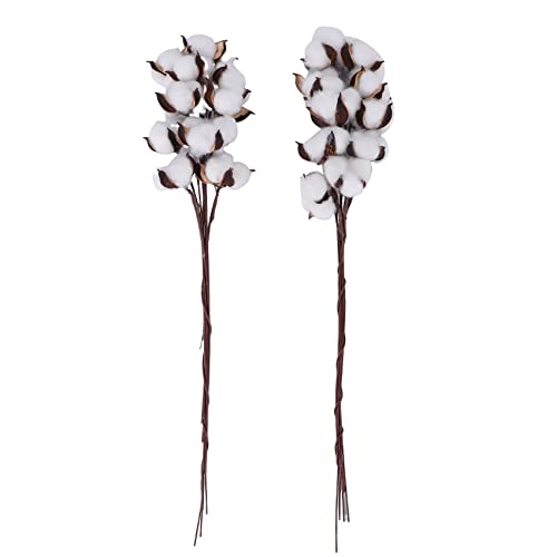 Persistence 20 StüCk Baumwoll Stiele, GefäLschte Baumwoll Blumen, KüNstliche Baumwoll Blumen Stiele Faux Bauernhaus Dekorationen für Vase Hause von Persistence