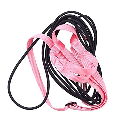 Persistence Hundegeschirr und Leine, verstellbares Geschirr für Papageien, Vogelgeschirr, Leine – Anti-Biss-Trainingsseil, Outdoor-Fluggeschirr und Leine ( von Persistence