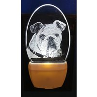 Bulldog Nachtlicht Auf Klarem Glas Wie Acryl Geätzt Von Deborah Houser Personalisierte Kostenlose Led Mit 8 Farboptionen von PersonalEtchings