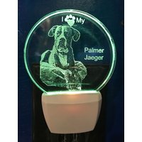 Haustier Foto Ihr Hund Benutzerdefinierte Geätzte Nachtlicht Bild Porträt Beleuchtet Gedenkstätte Personalisiertes Geätzt Gravierte Andenken von PersonalEtchings