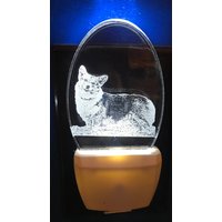 Nachtlicht Corgis Designed By Deborah Houser Auf Klarem Glas Wie Acryl 3 Farben Nach Wahl Für Hell Weiss, Blau Oder Farbwechsel Personalisiert Nachtlicht Corgis Designed By Deborah Houser Auf Klarem Glas Wie Acryl 3 Farben Nach Wahl Für Hell Weiss, Blau Oder Farbwechsel Personalisiert von PersonalEtchings