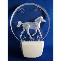 Pferd Nachtlicht Wandstecker in Led-Lichtwahl Von Weiß, Blau Oder Farbwechsel Handgeschnitzt Relief. Kostenlos Graviert von PersonalEtchings
