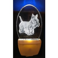 Scottish Terrier Scotty Nachtlicht Personalisiert Von Deborah Houser Led Hat 8 Farbauswahl von PersonalEtchings