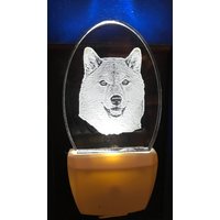 Shibu Inu Nachtlicht Im Detail in Klarem Acryl Geätzt Entworfen Von Deborah Houser Personalisiertes Licht Hat 3 Farbvarianten Hund Haustier von PersonalEtchings