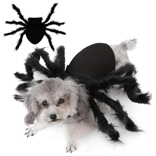 Hundespinnenkostüm, gruselige Pelzhund -Halloween -Kostüm, einstellbare Kostüme von Kostümen, Katzen -Outfit für Halloween -Party, Maskerade, Fotoshootings, m Hundespinnenkostüm, gruselige Pelzhund -Halloween -Kostüm, einstellbare Kostüme von Kostümen, Katzen -Outfit für Halloween -Party, Maskerade, Fotoshootings, m von Pesoncarl