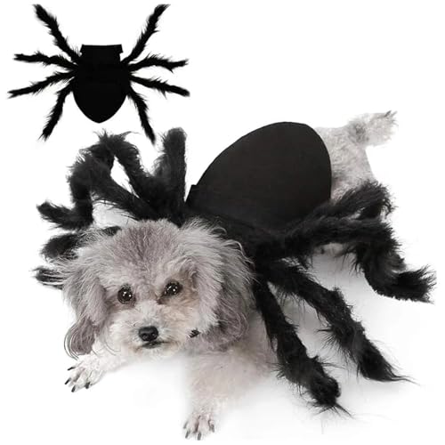 Hundespinnenkostüm, gruselige Pelzhund Halloween Kostüm, einstellbare Kostüme von Kostümen, Katzen -Outfit für Halloween -Party, Maskerade, Fotoshootings, s Hundespinnenkostüm, gruselige Pelzhund Halloween Kostüm, einstellbare Kostüme von Kostümen, Katzen -Outfit für Halloween -Party, Maskerade, Fotoshootings, s von Pesoncarl