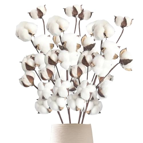 Pesoncarl Baumwollstämme, 4 Stück 21inch Baumwollblumen künstliche realistische Baumwollzweige 10 Baumwollkopf Baumwollpflanzendekor für Home Wedding Bauernhaus, künstliche Blumen von Pesoncarl