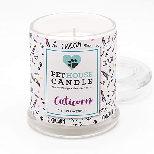 Pet House Candle - Citrus & Lavender (250g) - Duftkerze im Glas für Haustierhalter, geruchsneutralisierend, bis zu 50 Stunden Brenndauer, 100% Sojawachs von Pet House Candle