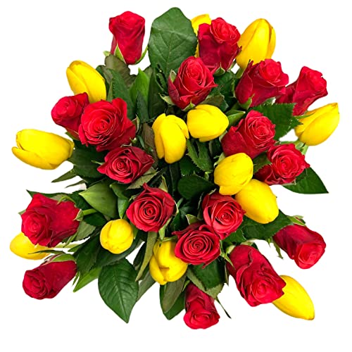 Blumenstrauß, bunter Blumenstrauß, Inklusive gratis Grußkarte, Flower bouquet, Fresh flowers, Cut flowers, Gift for Women, Fresh Flower, Gift for Valentine's Day, Birthday, Tulips von Pet-Jos