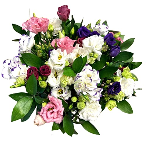 Pet-Jos Blumenstrauß, bunter Blumenstrauß, Inklusive gratis Grußkarte, Flower bouquet, Fresh flowers, Cut flowers, Gift for Women, Fresh Flower, Gift for Valentine's Day Birthday von Pet-Jos