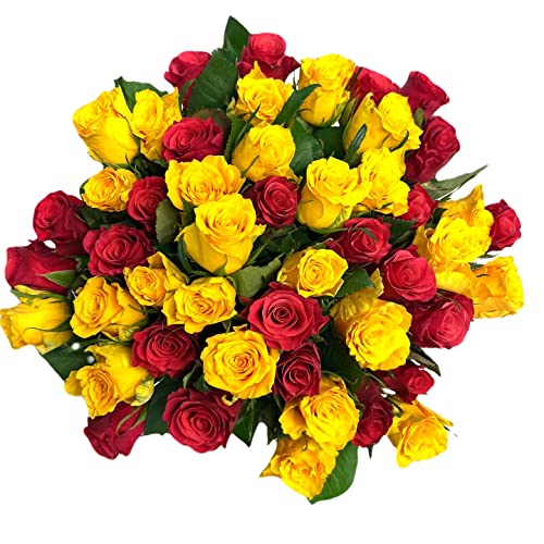 Pet-Jos Blumenstrauß, bunter Blumenstrauß, Inklusive gratis Grußkarte, Flower bouquet, Fresh flowers, Cut flowers, Gift for Women,Roses Fresh Flower, Gift for Valentine's Day, Birthday von Pet-Jos