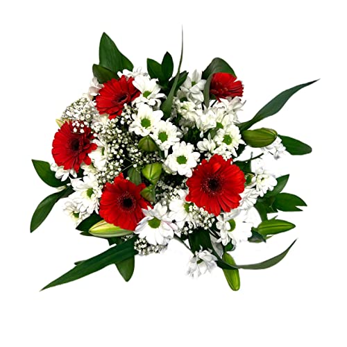 Pet-Jos Blumenstrauß, bunter Blumenstrauß, Inklusive gratis Grußkarte, Flower bouquet, Fresh flowers, Cut flowers, Gift for Women, Fresh Flower, Gift for Valentine's Day, Birthday, Lily, Gerbera von Pet-Jos