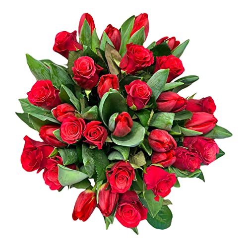 Pet-Jos Blumenstrauß, bunter Blumenstrauß, Inklusive gratis Grußkarte, Flower bouquet, Fresh flowers, Cut flowers, Gift for Women, Fresh Flower, Gift for Valentine's Day, Birthday, Red Tulips von Pet-Jos