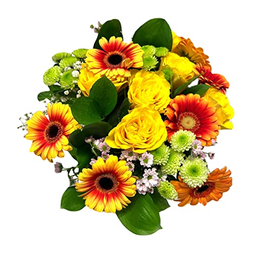 Pet-Jos Blumenstrauß Frisch, bunter Blumenstrauß, Inklusive gratis Grußkarte, Versenden geburtstag, Cut flowers, Gift for Women, Fresh Flower, Valentine's Day, Birthday, Yellow Gerbera von Pet-Jos