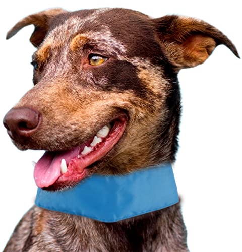 Pet Life Summer Cooling Einführbare und verstellbare Kühlkompresse für Hunde, Einheitsgröße, Blau von Pet Life