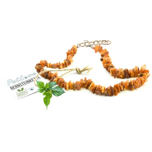 PetLove Bernsteinkette Hund • 100% Baltischer Bernstein • Halsband für Hunde & Katze • Länge: 35cm PetLove Bernsteinkette Hund • 100% Baltischer Bernstein • Halsband für Hunde & Katze • Länge: 35cm von PetLove