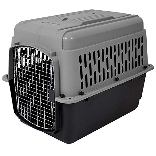 Aspen Pet Porter Transportbox für Haustiere, 50-70 LBS, Dunkelgrau/Schwarz von Petmate
