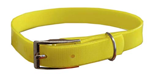 Pet Tribe Chasse Halsband gelb 2,0 x 50 cm - 70 g von Pet Tribe
