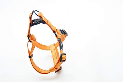 Pet Tribe PT58189 Geschirr aus Nylon, fluoreszierend, 1,5 x 30-40 cm, Orange von Pet Tribe