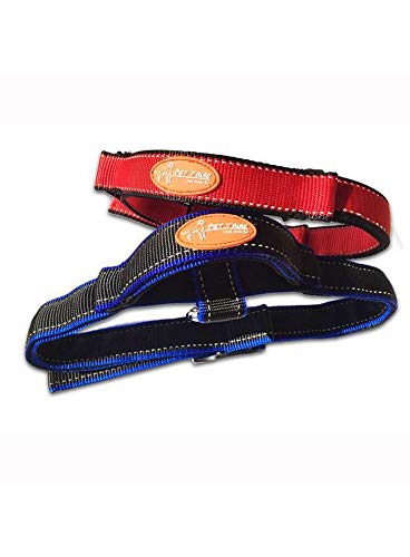 Pet Tribe PT58217 Hundehalsband Sport Control, Größe M, Rot von Pet Tribe