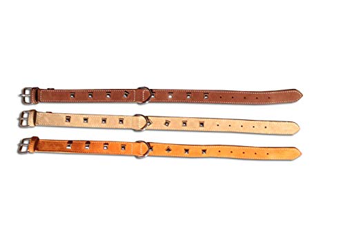 Pet Tribe PT58679 Halsband aus Wildleder + Nieten, Orange von Pet Tribe