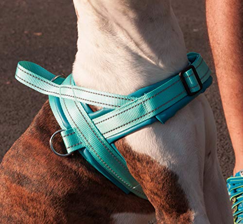 Pet Tribe PT58823 Tecopelle Geschirr, 48/66 cm, blau/blau von Pet Tribe