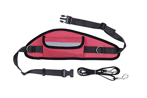 Pet Tribe PT72865 Run Free Leash mit Taillenumfang, Rot von Pet Tribe