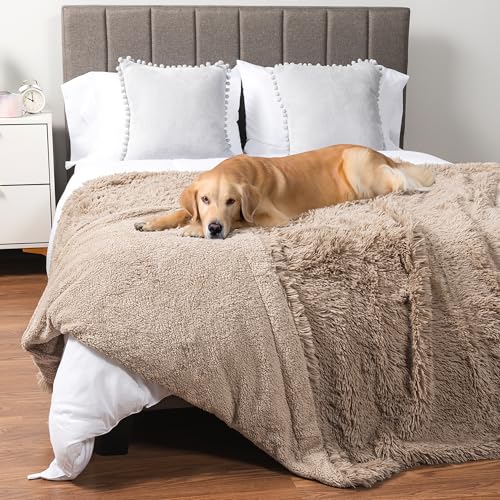 PetAmi Flauschige wasserdichte Hundedecke | Kunstfell Haustier Fleece Shag Überwurf für Hunde und Katzen | Fuzzy Furry Weich Plüsch Sherpa Überwurf Möbelschutz Sofa Couch Bett (Taupe, 60 x 80) von PetAmi
