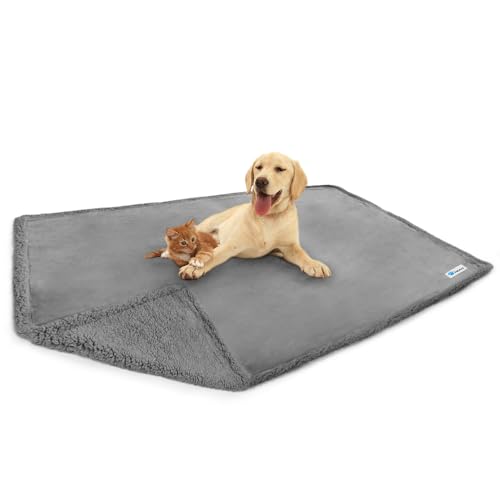 PetAmi Wasserdichte Hundedecke für Bett, Couch, Sofa, wasserdichter Hundebettbezug für große Hunde, Welpen, graues Sherpa-Fleece-Haustierdecke, Möbelschutz, wendbare Mikrofaser, 80 x 60 (Hellgrau) von PetAmi