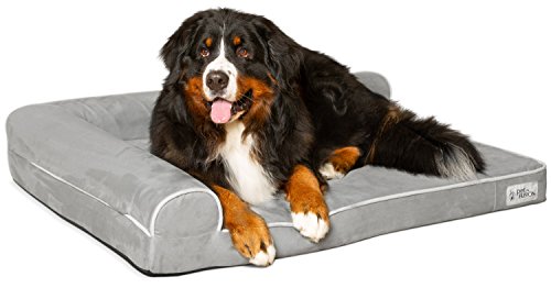 PetFusion BetterLounge Hundebett aus Memory-Schaum, mit wasserdichtem Innenfutter und abnehmbarem Bezug, Größe XL, 112 x 86 x 19 cm Ersatzbezüge und Decken sind ebenfalls erhältlich. von PetFusion