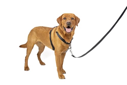PetSafe 3-in-1-Hundegeschirr, Ziehschutz für Hunde, reflektierendes Hundegeschirr, D-Ring-Clip an der Vorderseite, gegen Ziehen, bequem gepolsterte Gurte, Tragegriff, verbesserte Kontrolle, Schwarz, S von PetSafe
