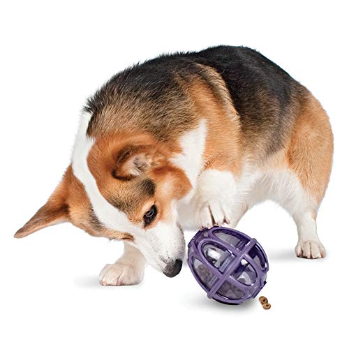 PetSafe Busy Buddy PTY00-13739 Knabber-Mahlzeitspender, klein, Violett von PetSafe