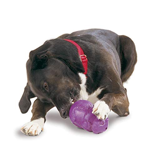 PetSafe Busy Buddy Hundespielzeug mit Eichhörnchen-Motiv, Spielzeug für Leckerlis, Größe XS, S, M und L von PetSafe